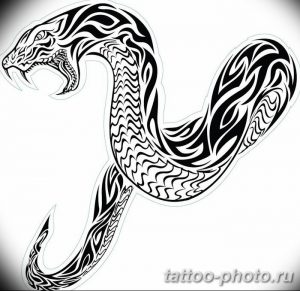 Фото рисунка тату змея 23.11.2018 №126 - snake tattoo photo - tattoo-photo.ru