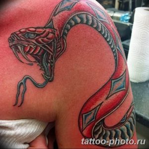 Фото рисунка тату змея 23.11.2018 №129 - snake tattoo photo - tattoo-photo.ru