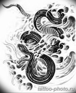 Фото рисунка тату змея 23.11.2018 №144 - snake tattoo photo - tattoo-photo.ru