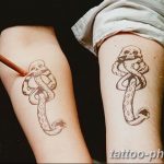 Фото рисунка тату змея 23.11.2018 №148 - snake tattoo photo - tattoo-photo.ru