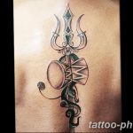 Фото рисунка тату змея 23.11.2018 №149 - snake tattoo photo - tattoo-photo.ru