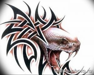 Фото рисунка тату змея 23.11.2018 №151 - snake tattoo photo - tattoo-photo.ru