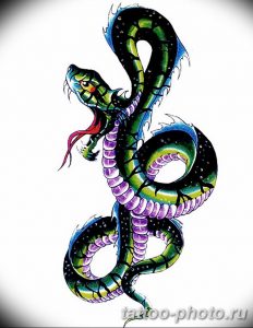 Фото рисунка тату змея 23.11.2018 №156 - snake tattoo photo - tattoo-photo.ru