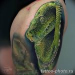 Фото рисунка тату змея 23.11.2018 №157 - snake tattoo photo - tattoo-photo.ru