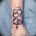Фото рисунка тату змея 23.11.2018 №158 - snake tattoo photo - tattoo-photo.ru