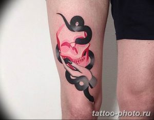 Фото рисунка тату змея 23.11.2018 №159 - snake tattoo photo - tattoo-photo.ru