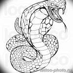 Фото рисунка тату змея 23.11.2018 №160 - snake tattoo photo - tattoo-photo.ru