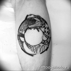 Фото рисунка тату змея 23.11.2018 №163 - snake tattoo photo - tattoo-photo.ru