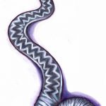 Фото рисунка тату змея 23.11.2018 №164 - snake tattoo photo - tattoo-photo.ru