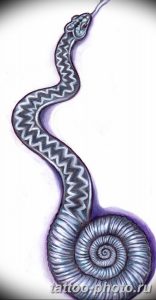 Фото рисунка тату змея 23.11.2018 №164 - snake tattoo photo - tattoo-photo.ru
