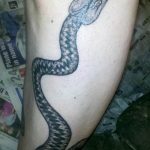 Фото рисунка тату змея 23.11.2018 №165 - snake tattoo photo - tattoo-photo.ru