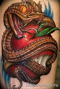 Фото рисунка тату змея 23.11.2018 №166 - snake tattoo photo - tattoo-photo.ru