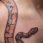 Фото рисунка тату змея 23.11.2018 №167 - snake tattoo photo - tattoo-photo.ru