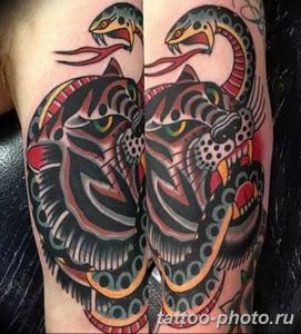 Фото рисунка тату змея 23.11.2018 №170 - snake tattoo photo - tattoo-photo.ru