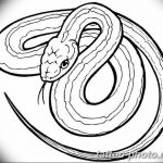 Фото рисунка тату змея 23.11.2018 №171 - snake tattoo photo - tattoo-photo.ru