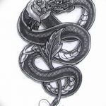 Фото рисунка тату змея 23.11.2018 №174 - snake tattoo photo - tattoo-photo.ru