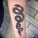 Фото рисунка тату змея 23.11.2018 №176 - snake tattoo photo - tattoo-photo.ru
