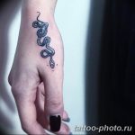 Фото рисунка тату змея 23.11.2018 №180 - snake tattoo photo - tattoo-photo.ru