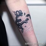 Фото рисунка тату змея 23.11.2018 №182 - snake tattoo photo - tattoo-photo.ru