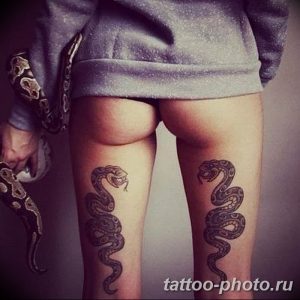 Фото рисунка тату змея 23.11.2018 №187 - snake tattoo photo - tattoo-photo.ru