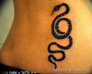 Фото рисунка тату змея 23.11.2018 №188 - snake tattoo photo - tattoo-photo.ru