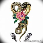 Фото рисунка тату змея 23.11.2018 №190 - snake tattoo photo - tattoo-photo.ru