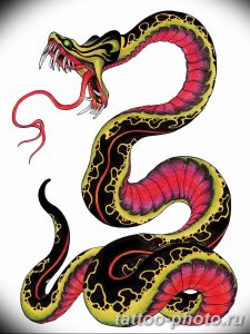 Фото рисунка тату змея 23.11.2018 №191 - snake tattoo photo - tattoo-photo.ru