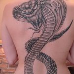 Фото рисунка тату змея 23.11.2018 №192 - snake tattoo photo - tattoo-photo.ru