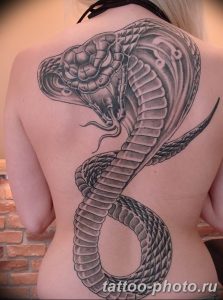 Фото рисунка тату змея 23.11.2018 №192 - snake tattoo photo - tattoo-photo.ru