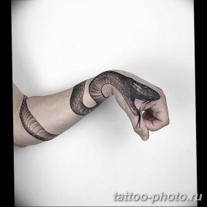 Фото рисунка тату змея 23.11.2018 №197 - snake tattoo photo - tattoo-photo.ru