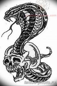 Фото рисунка тату змея 23.11.2018 №199 - snake tattoo photo - tattoo-photo.ru