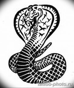 Фото рисунка тату змея 23.11.2018 №201 - snake tattoo photo - tattoo-photo.ru