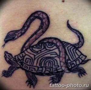 Фото рисунка тату змея 23.11.2018 №204 - snake tattoo photo - tattoo-photo.ru
