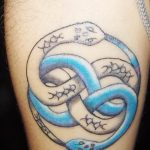 Фото рисунка тату змея 23.11.2018 №205 - snake tattoo photo - tattoo-photo.ru