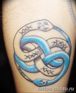 Фото рисунка тату змея 23.11.2018 №205 - snake tattoo photo - tattoo-photo.ru