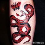 Фото рисунка тату змея 23.11.2018 №207 - snake tattoo photo - tattoo-photo.ru