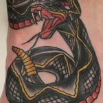 Фото рисунка тату змея 23.11.2018 №212 - snake tattoo photo - tattoo-photo.ru