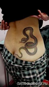 Фото рисунка тату змея 23.11.2018 №213 - snake tattoo photo - tattoo-photo.ru