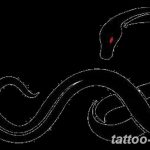Фото рисунка тату змея 23.11.2018 №217 - snake tattoo photo - tattoo-photo.ru