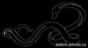 Фото рисунка тату змея 23.11.2018 №217 - snake tattoo photo - tattoo-photo.ru