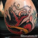 Фото рисунка тату змея 23.11.2018 №218 - snake tattoo photo - tattoo-photo.ru