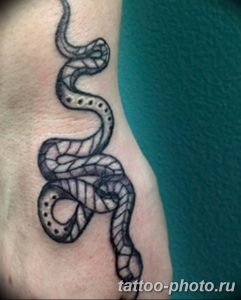 Фото рисунка тату змея 23.11.2018 №219 - snake tattoo photo - tattoo-photo.ru