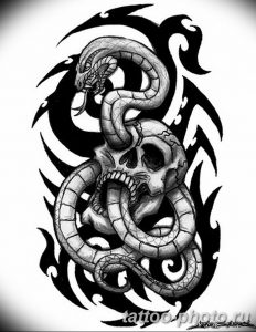 Фото рисунка тату змея 23.11.2018 №220 - snake tattoo photo - tattoo-photo.ru