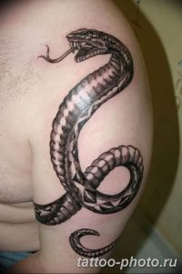 Фото рисунка тату змея 23.11.2018 №223 - snake tattoo photo - tattoo-photo.ru
