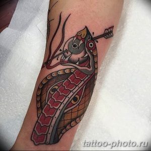 Фото рисунка тату змея 23.11.2018 №224 - snake tattoo photo - tattoo-photo.ru