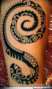 Фото рисунка тату змея 23.11.2018 №225 - snake tattoo photo - tattoo-photo.ru