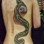 Фото рисунка тату змея 23.11.2018 №228 - snake tattoo photo - tattoo-photo.ru