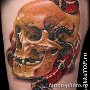 Фото рисунка тату змея 23.11.2018 №229 - snake tattoo photo - tattoo-photo.ru