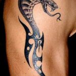 Фото рисунка тату змея 23.11.2018 №234 - snake tattoo photo - tattoo-photo.ru