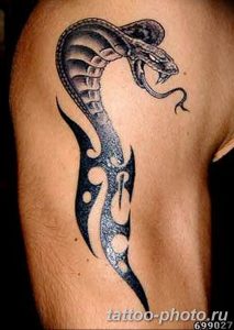 Фото рисунка тату змея 23.11.2018 №234 - snake tattoo photo - tattoo-photo.ru